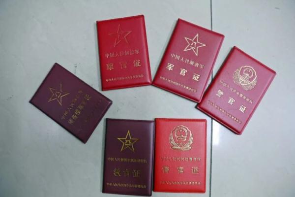 免费白菜交流